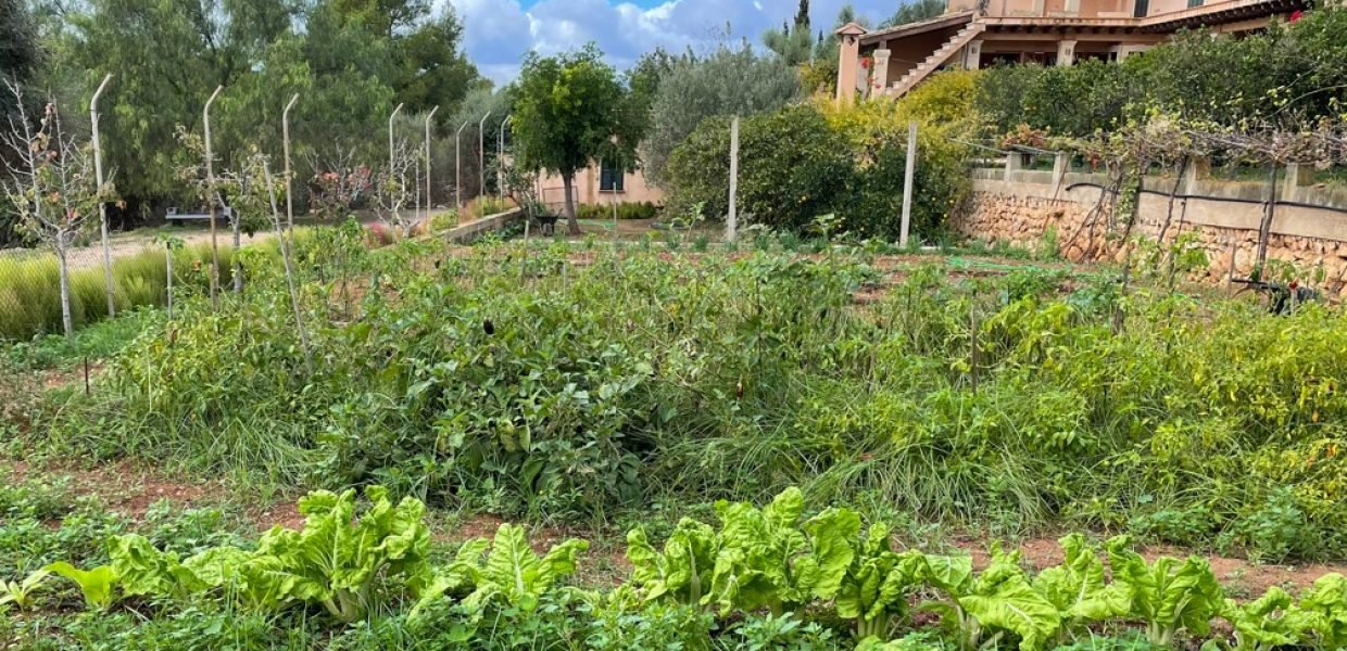 Agricultura Imagen ibeconomiacom