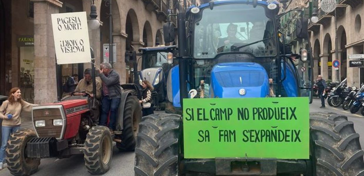 Tractores Imagen Joan Valiente © Ibeconomia.com 2024