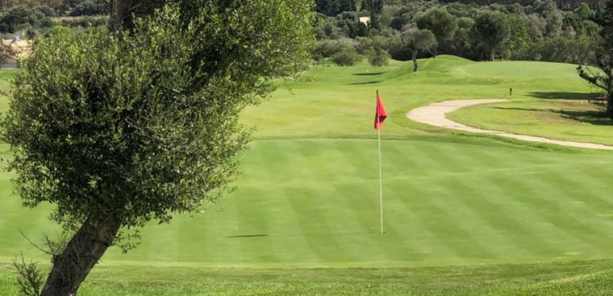 Golf Imagen © ibeconomia 2023
