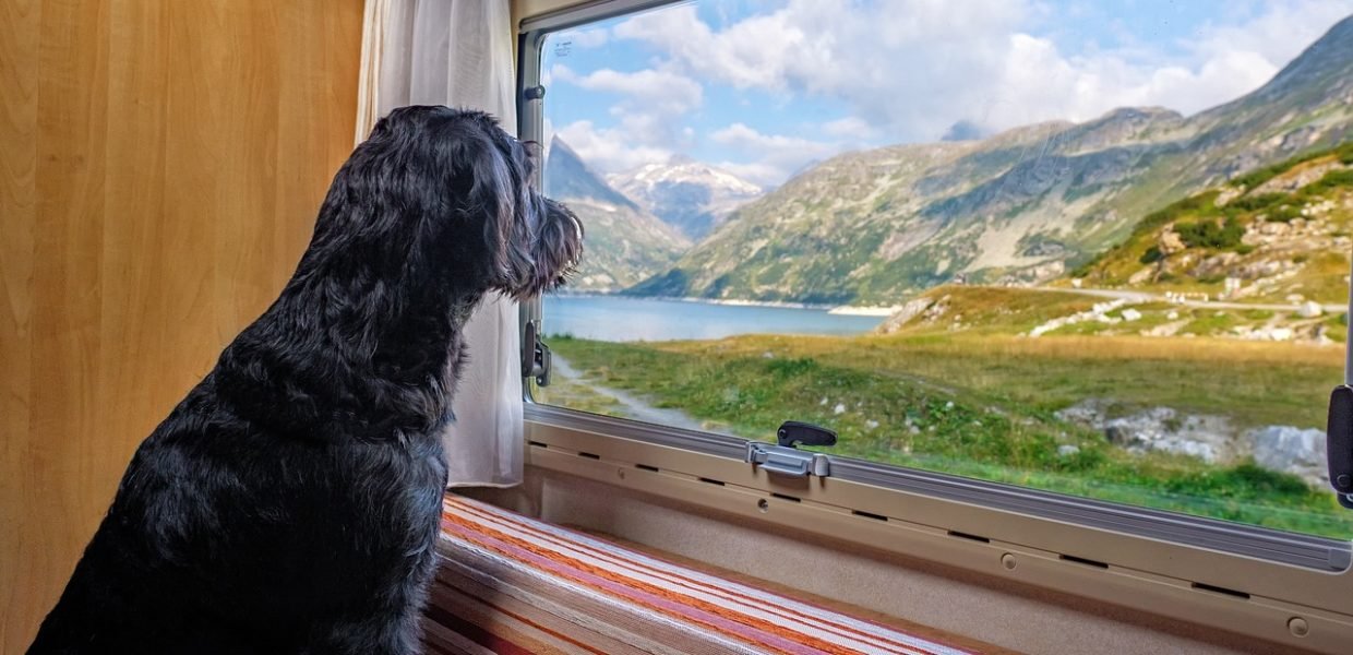Imagen de Bruno Germany en Pixabay Caravana camper