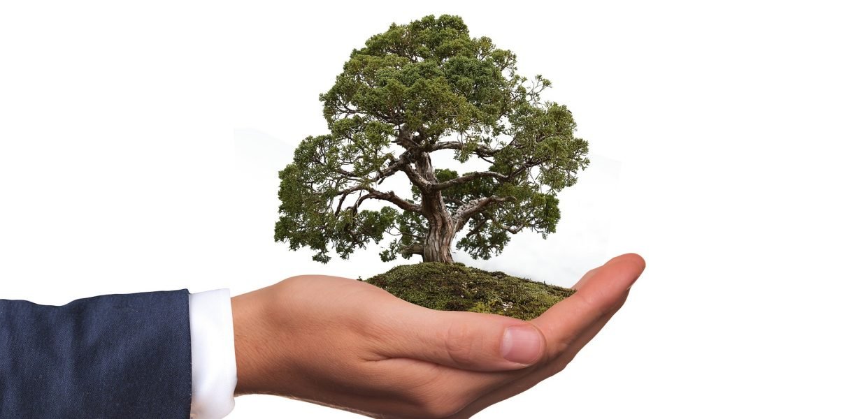 Medio ambiente, sostenibilidad economia circular environment-2948299_1920 Imagen de Gerd Altmann en Pixabay ibeconomia.com