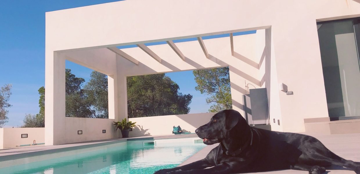 Perro vacacional casa inmobiliaria Imagen Patricia Horrach